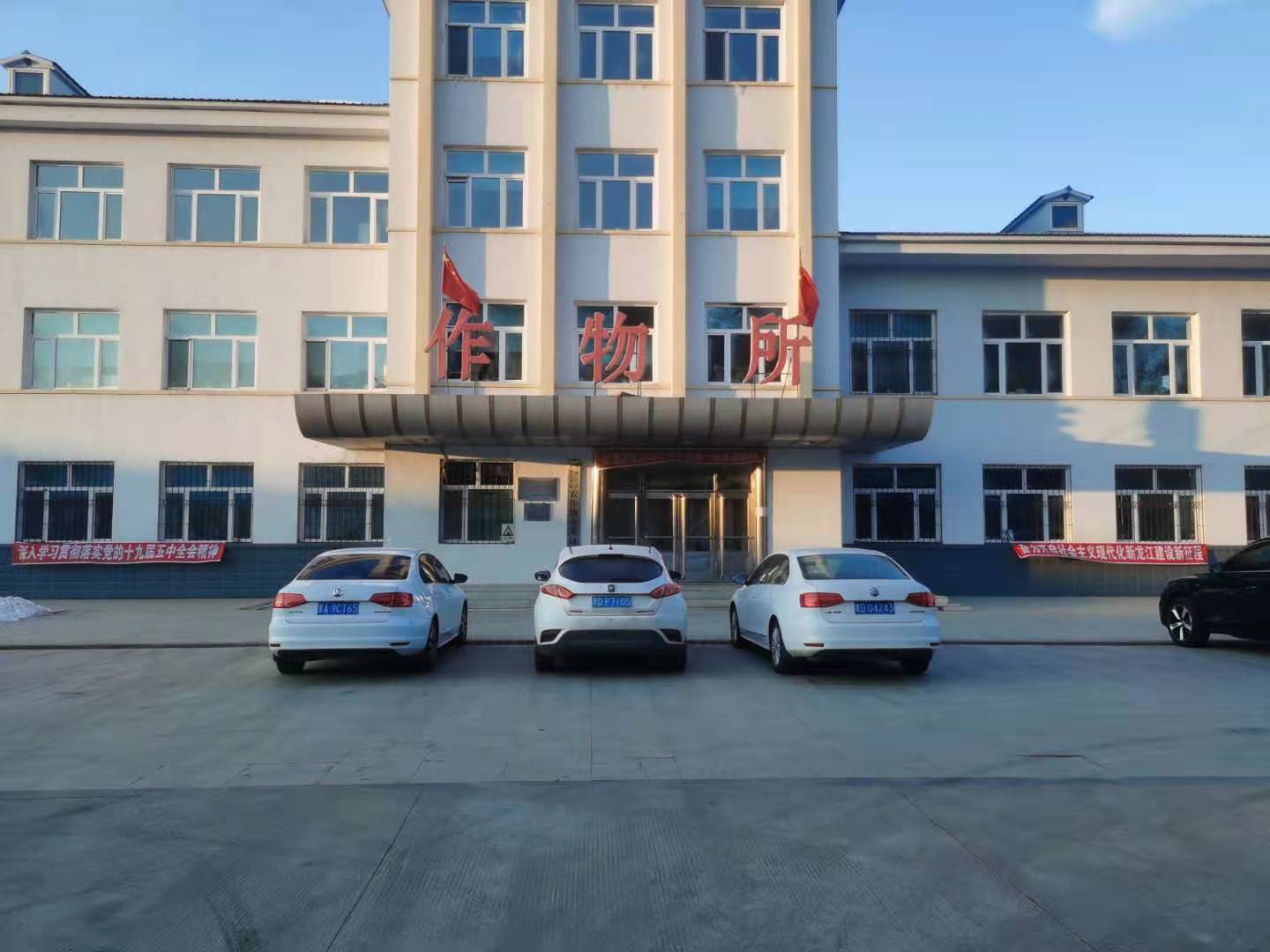 5.jpg