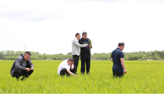 621水稻所推进项目实施深化场所合作共建533.png