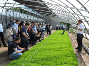 625省植保站与植保所联合召开寒地水稻恶苗病绿色防控技术研讨会报道664.png
