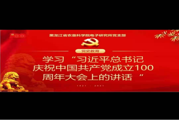 708电子所党支部集中学习习近平总书记在庆祝中国共产党成立100周年大会上重要讲话精神607.png