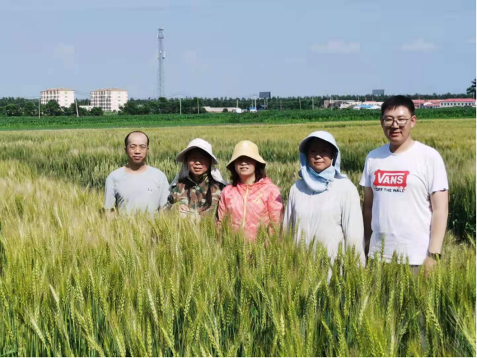 学史力行开新局-作物所与省农业科学院克山分院专家组开展交流合作(2)37.png